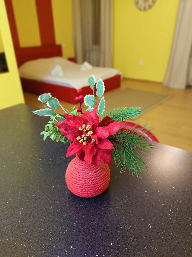 Tribunei Apartment 시비우 외부 사진